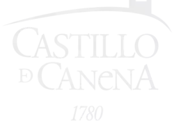 Logo castillo de canena