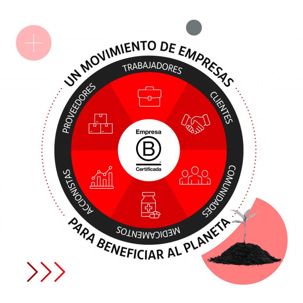 Certificado B Corp: Qué Es Y Cómo Conseguirlo Para Tu Empresa